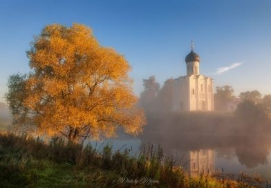 Пословицы о Покрове